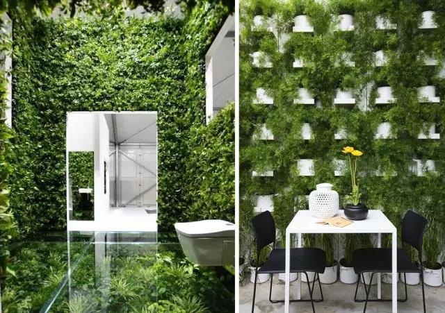 綠植長(zhǎng)在墻上，個(gè)性又省地方！